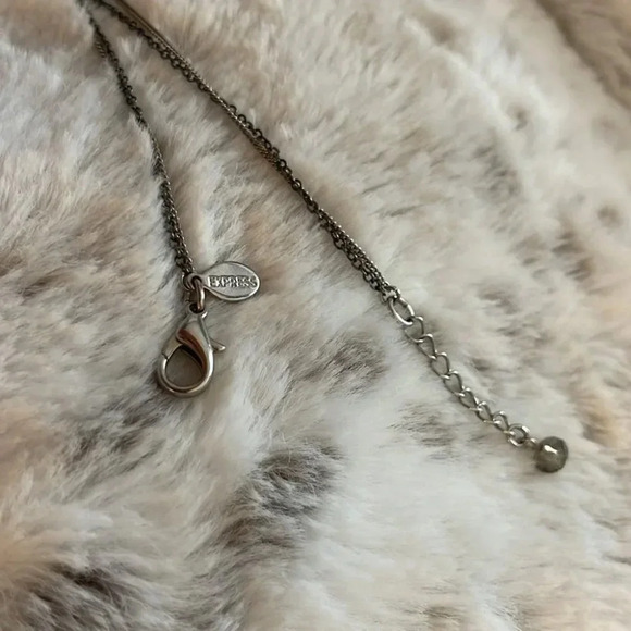 Express Necklace - Picture 4 of 13